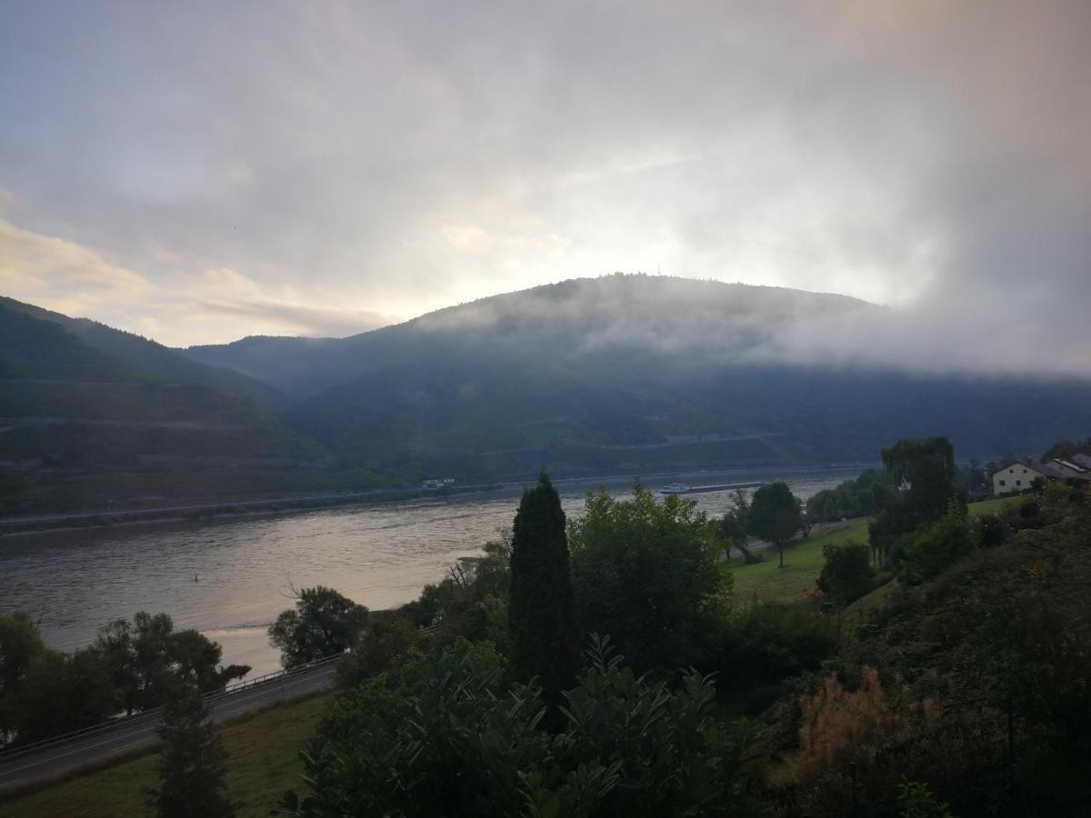 Wunderschoene Aussicht Garantiert Trechtingshausen Экстерьер фото